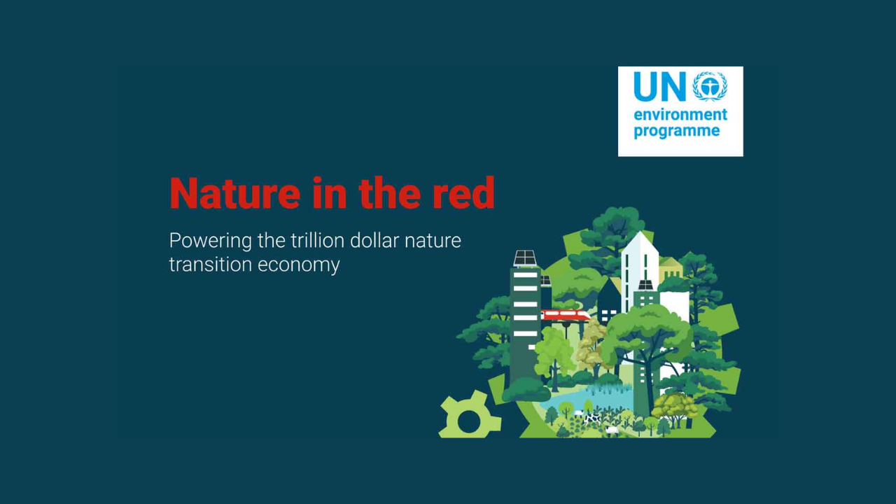 Powering the trillion-dollar nature transition economy  in Asia Pacific