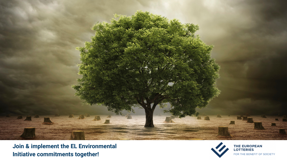 European Union Deforestation Regulation & Lotteries