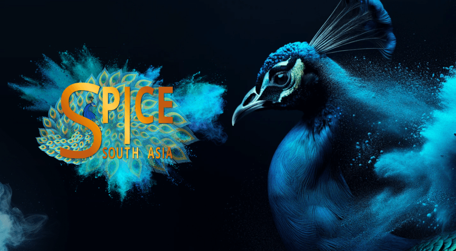 SPiCE South Asia 2025